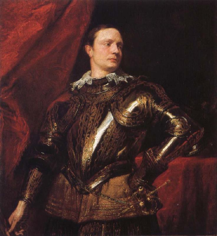 Anthony Van Dyck Portrait of a young general China oil painting art